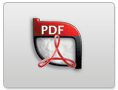 PDF File